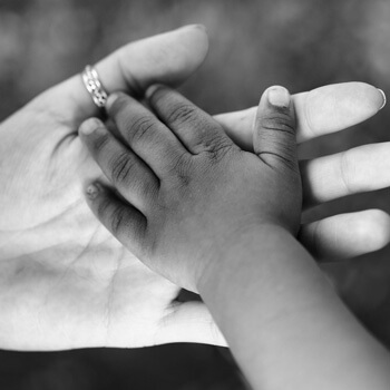 Child's Hand in Parent's Hand